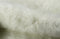 4' X 5' Off White Faux Cowhide Animal Print Cowhide Area Rug