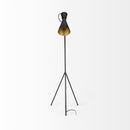 Black and Brass Conical Metal Floor Lamp